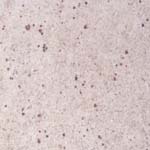 Granites Kashmir White Supplier,Exporter,India